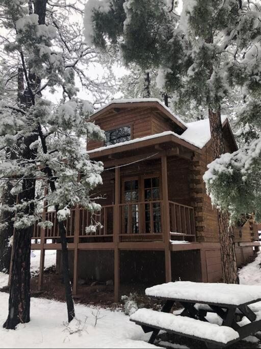 Forest Cabin 2 Birds Nest Payson ภายนอก รูปภาพ