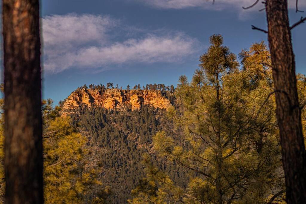 Forest Cabin 2 Birds Nest Payson ภายนอก รูปภาพ